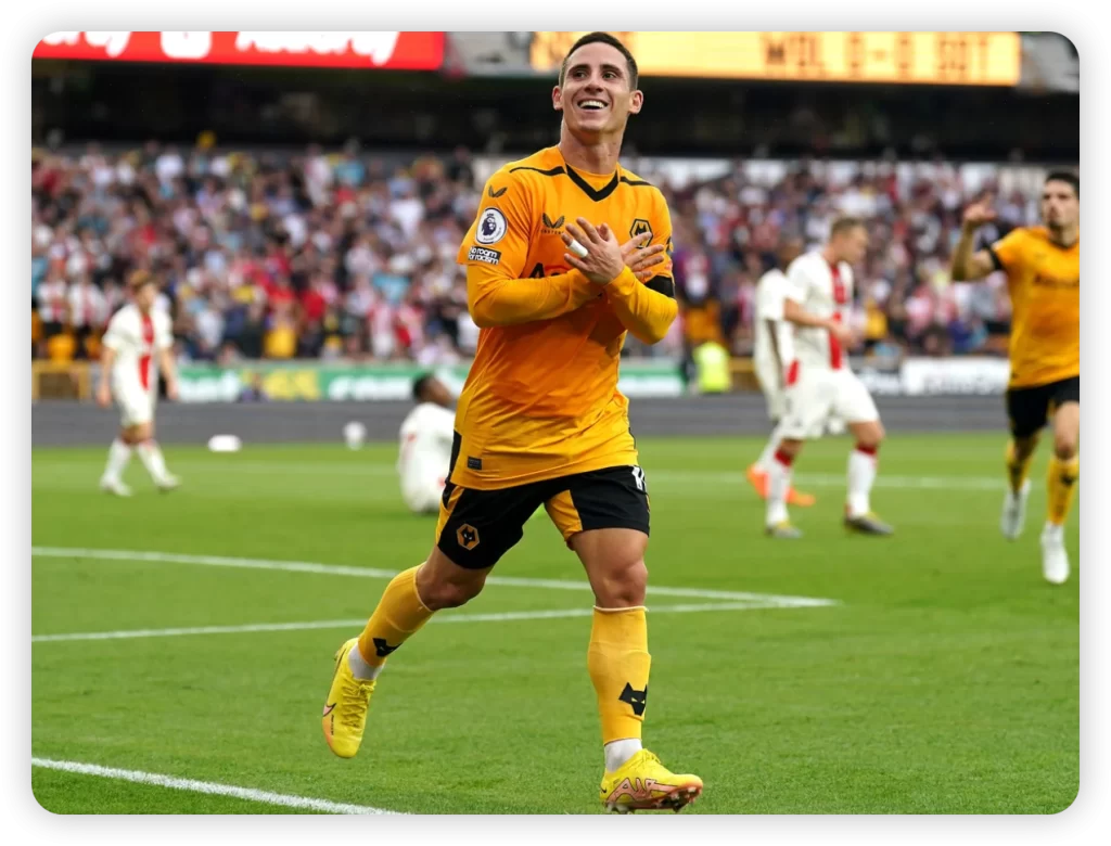 Wolves